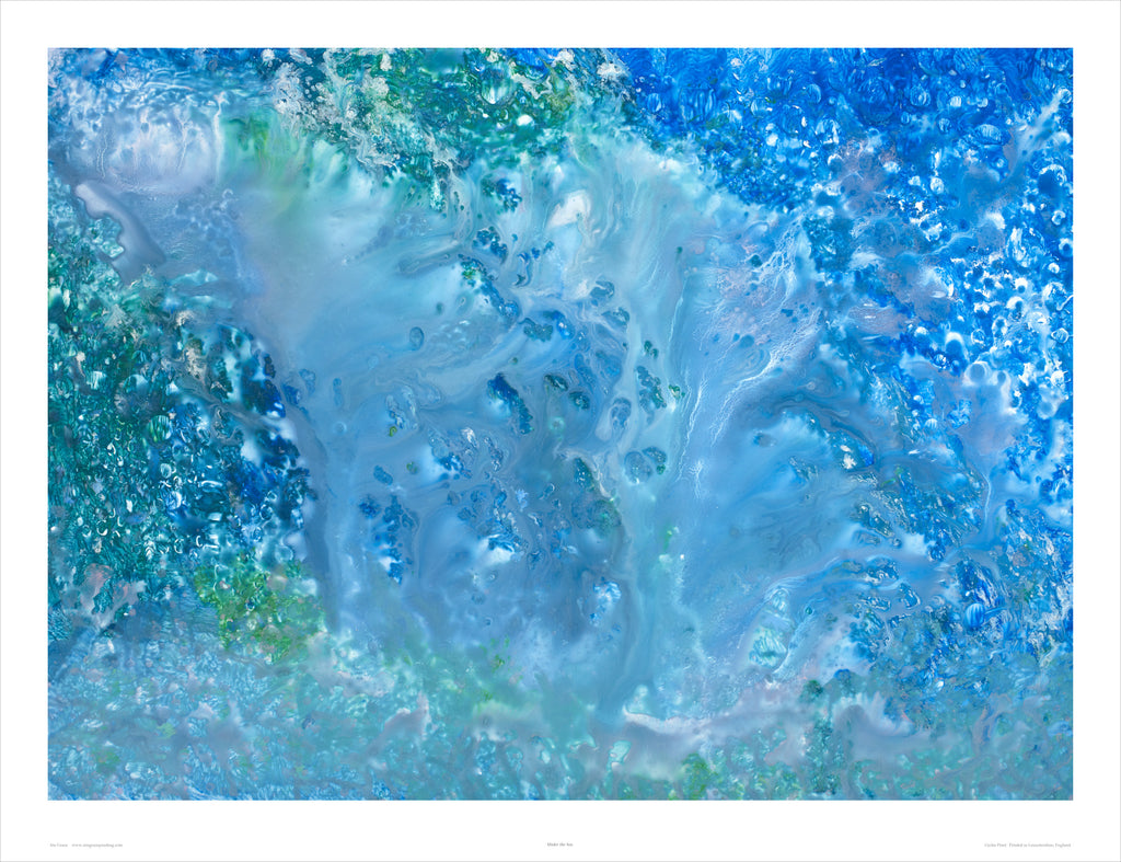 Under the Sea by Iris Grace — full print image