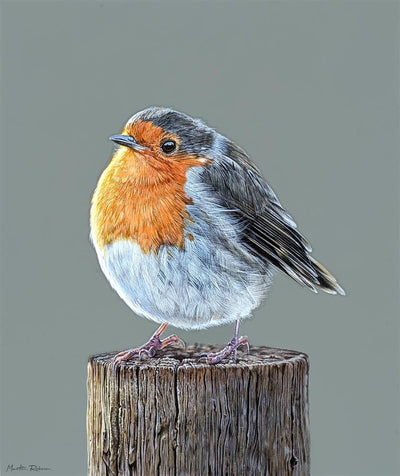 Martin Robson - Rosie Limited edition print