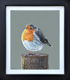 Martin Robson - Rosie Limited edition print