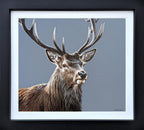 Martin Robson - Spirit of the Forest - Original