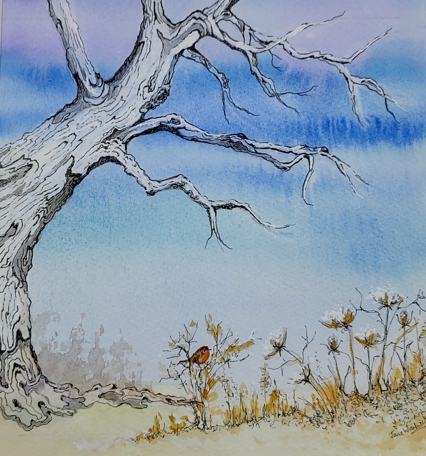 Jane Warwick - December Frost, Original Mounted pen, Ink and Watercolour