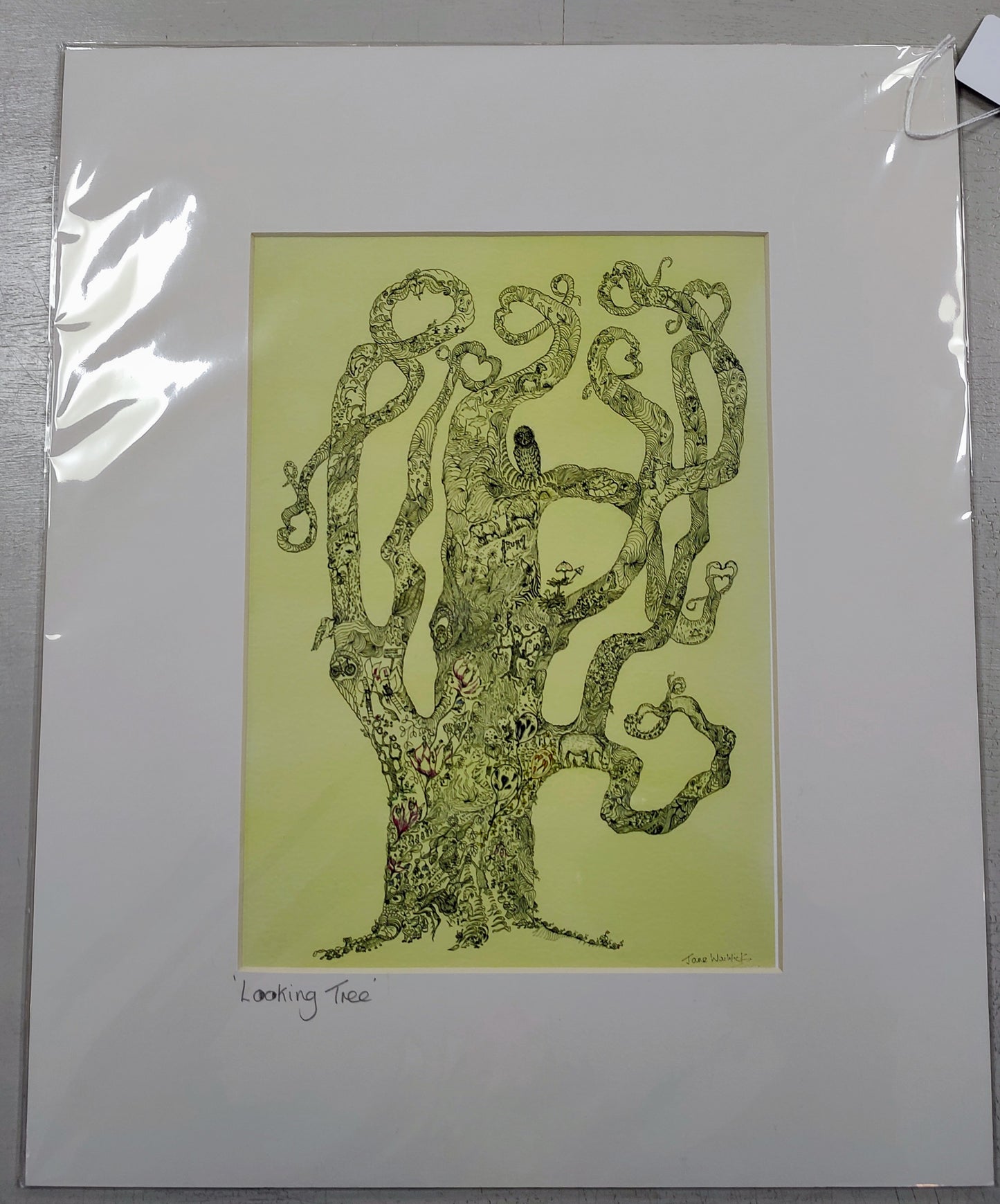 Jane Warwick - Looking Tree, Limited Edition Mounted Print