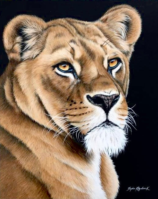 Sophie Bliss Kilpatrick- Lioness, Framed Original Acrylic Painting