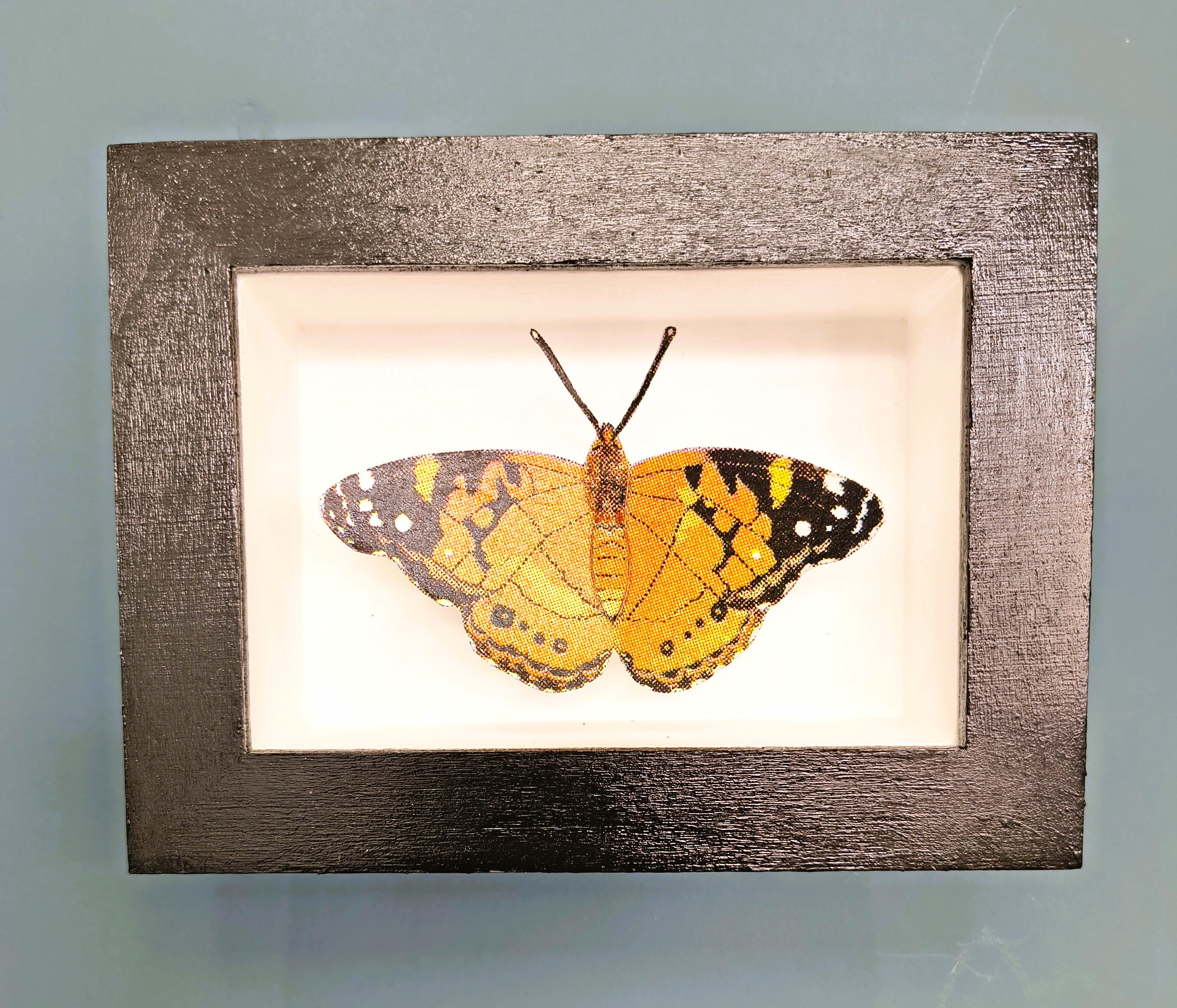 Amelia Bown - Painted Lady Butterfly, Original Ltd Edition Framed Mini Screen Print - Primrose Gallery and Framing 