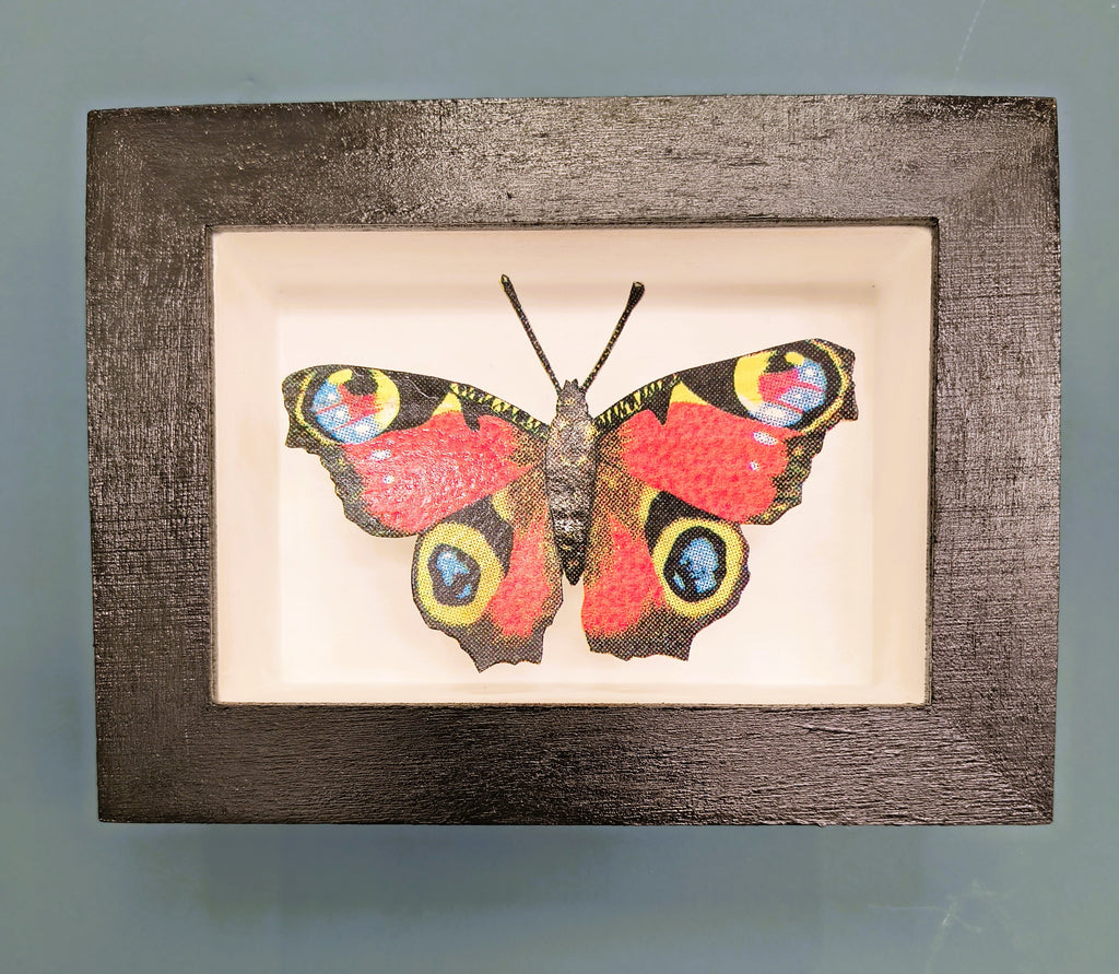 Amelia Bown - Peacock Butterfly, Original Ltd Edition Framed Mini Screen Print - Primrose Gallery and Framing 