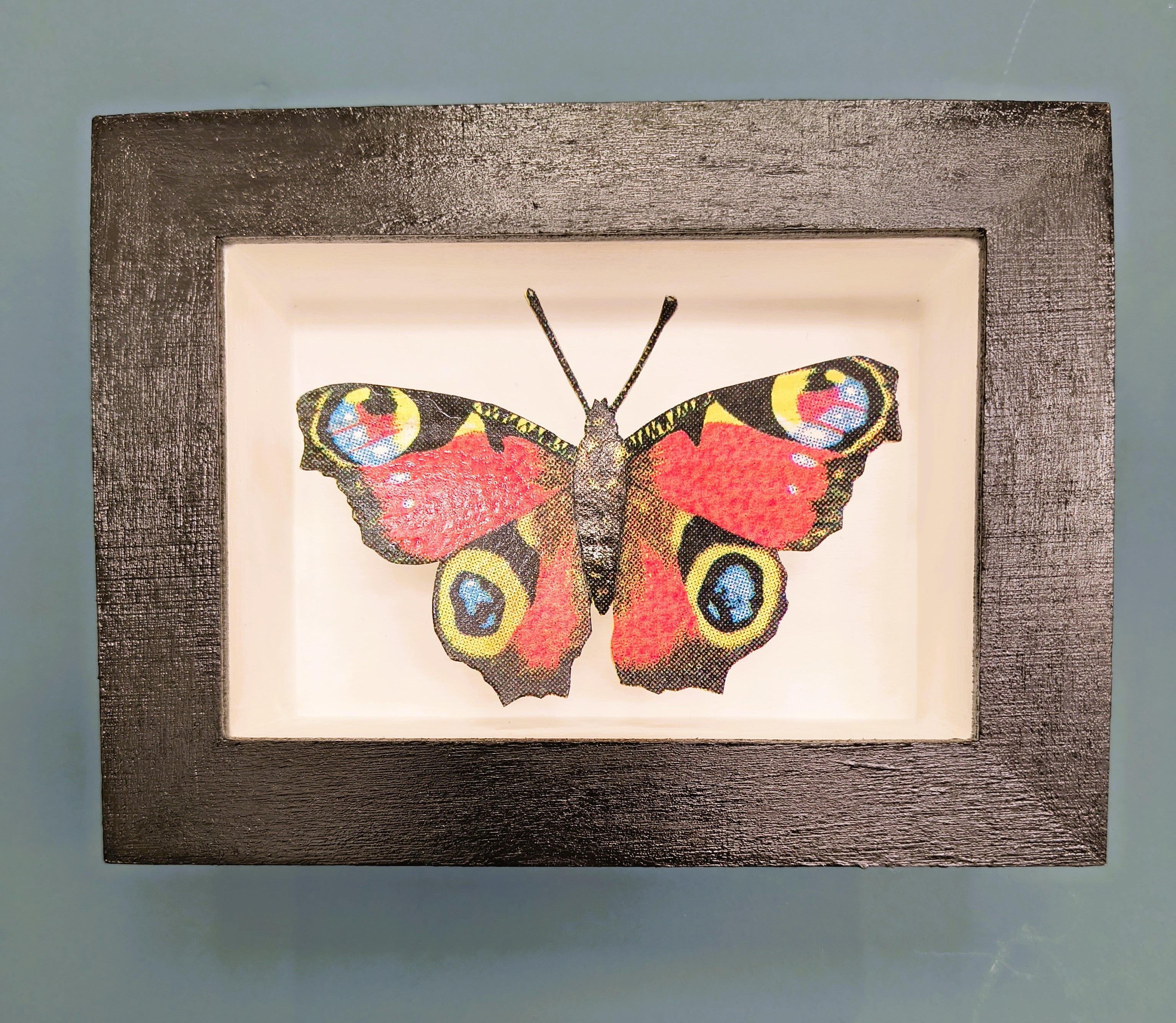 Amelia Bown - Peacock Butterfly, Original Ltd Edition Framed Mini Screen Print - Primrose Gallery and Framing 