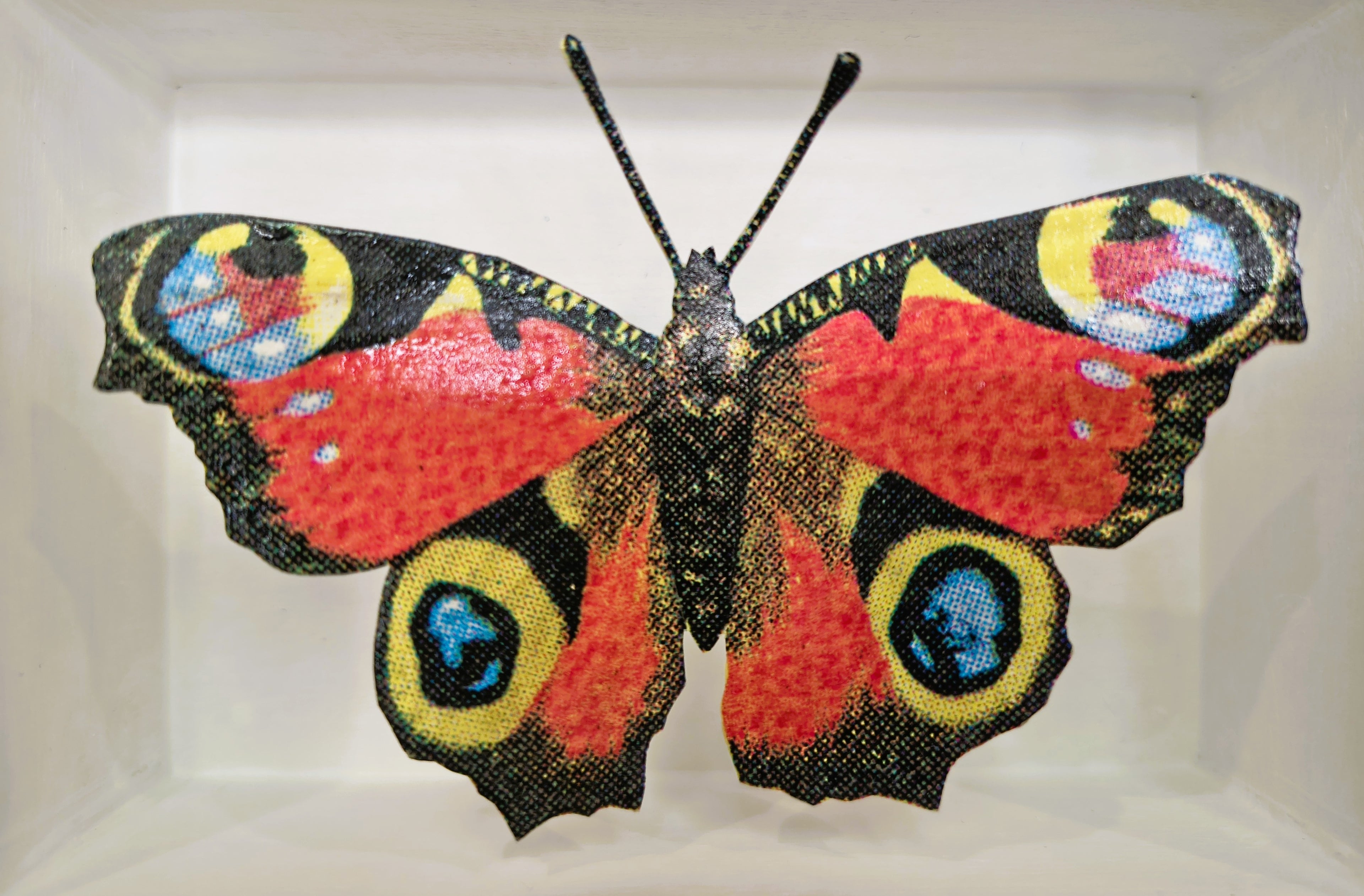 Amelia Bown - Peacock Butterfly, Original Ltd Edition Framed Mini Screen Print - Primrose Gallery and Framing 
