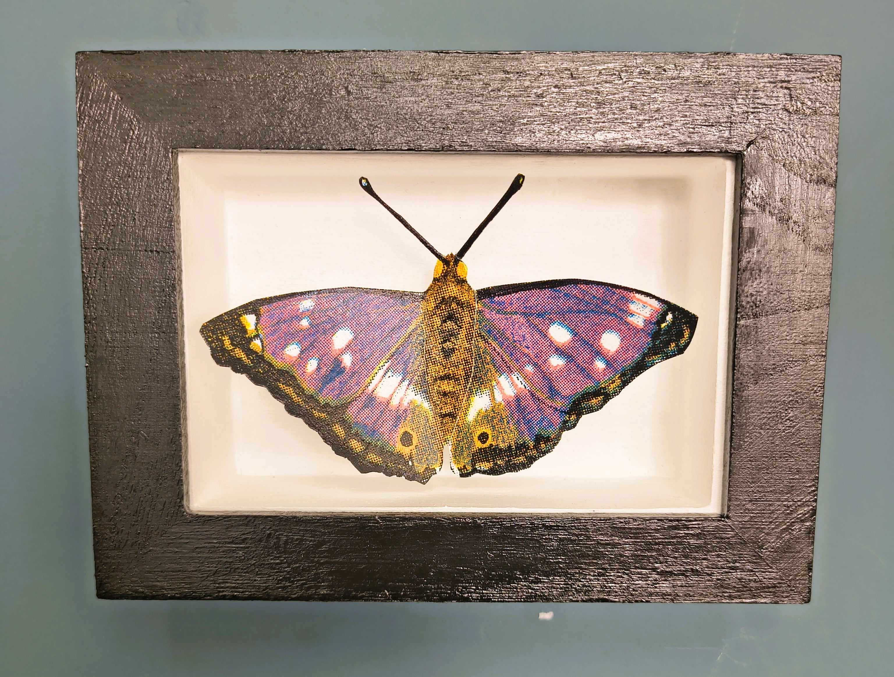 Amelia Bown - Purple Emporer Butterfly, Original Ltd Edition Framed Mini Screen Print - Primrose Gallery and Framing 