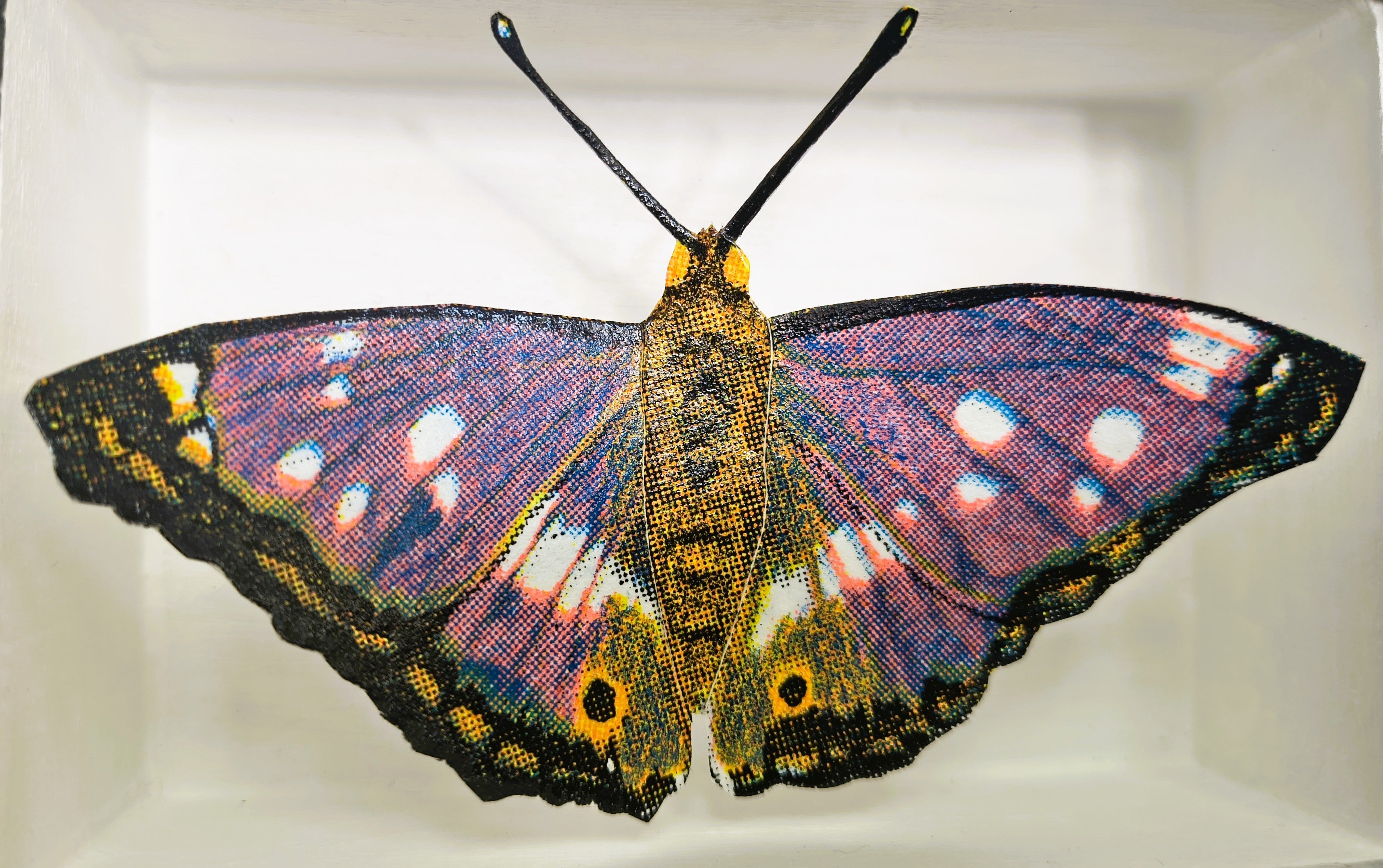 Amelia Bown - Purple Emporer Butterfly, Original Ltd Edition Framed Mini Screen Print - Primrose Gallery and Framing 