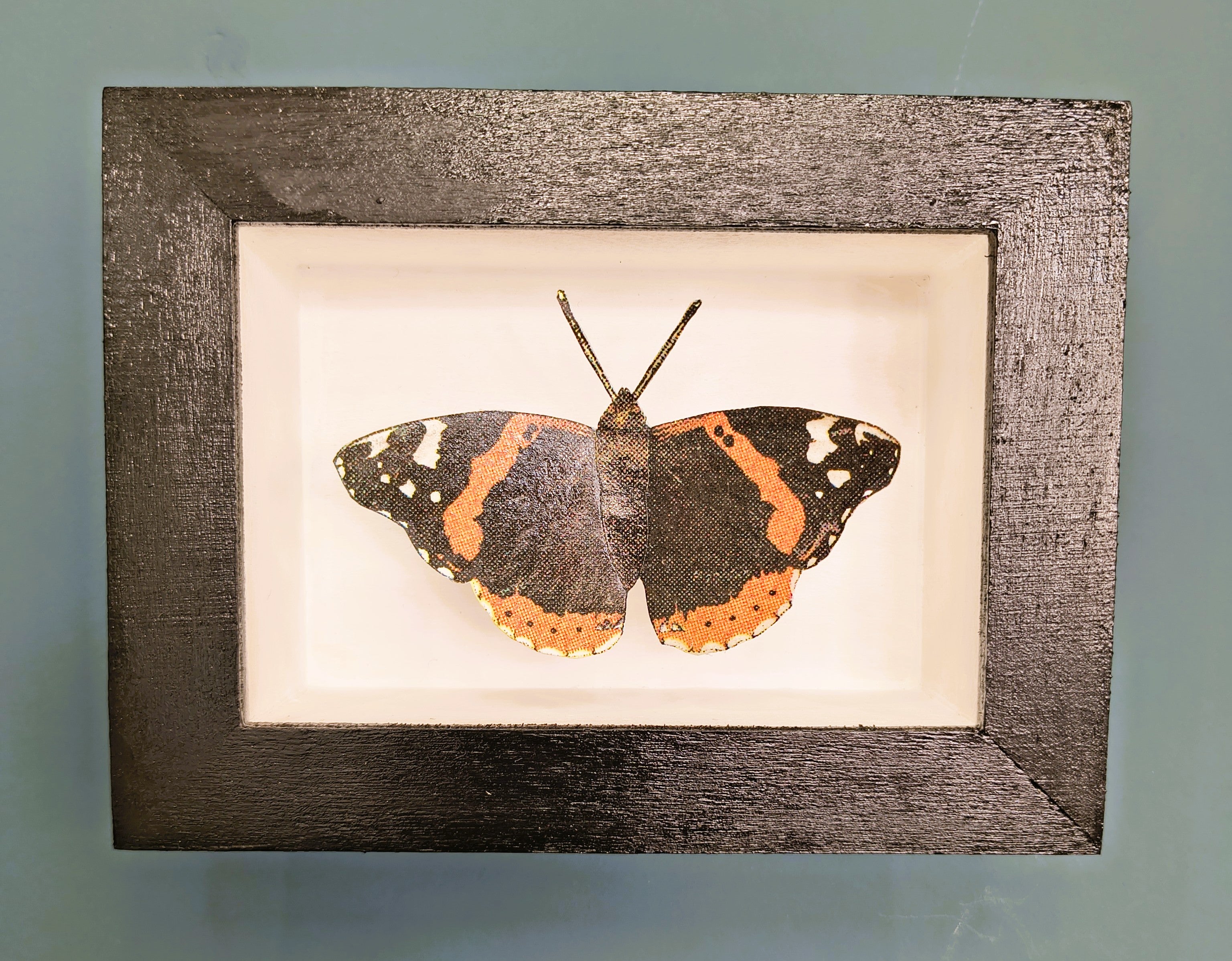 Amelia Bown - Red Admiral Butterfly, Original Ltd Edition Framed Mini Screen Print - Primrose Gallery and Framing 