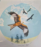 Amelia Bown - Cycling Kites, Original Ltd Edition Mounted Screen Print - Primrose Gallery and Framing 