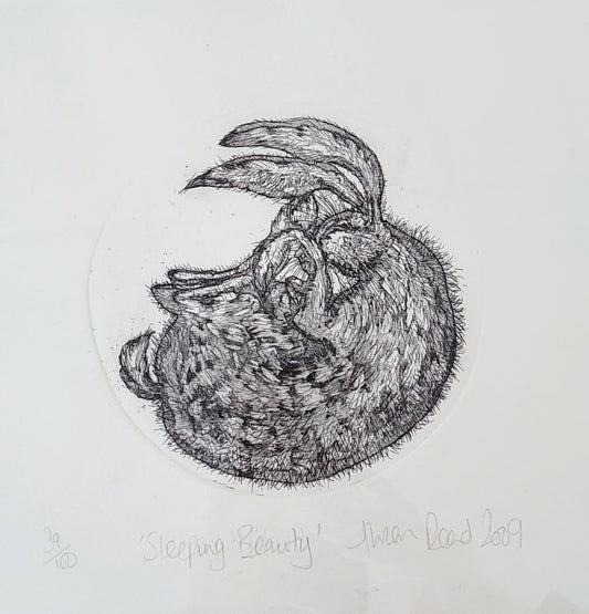 Alison Read - 'Sleeping Beauty, Framed Limited Edition Print