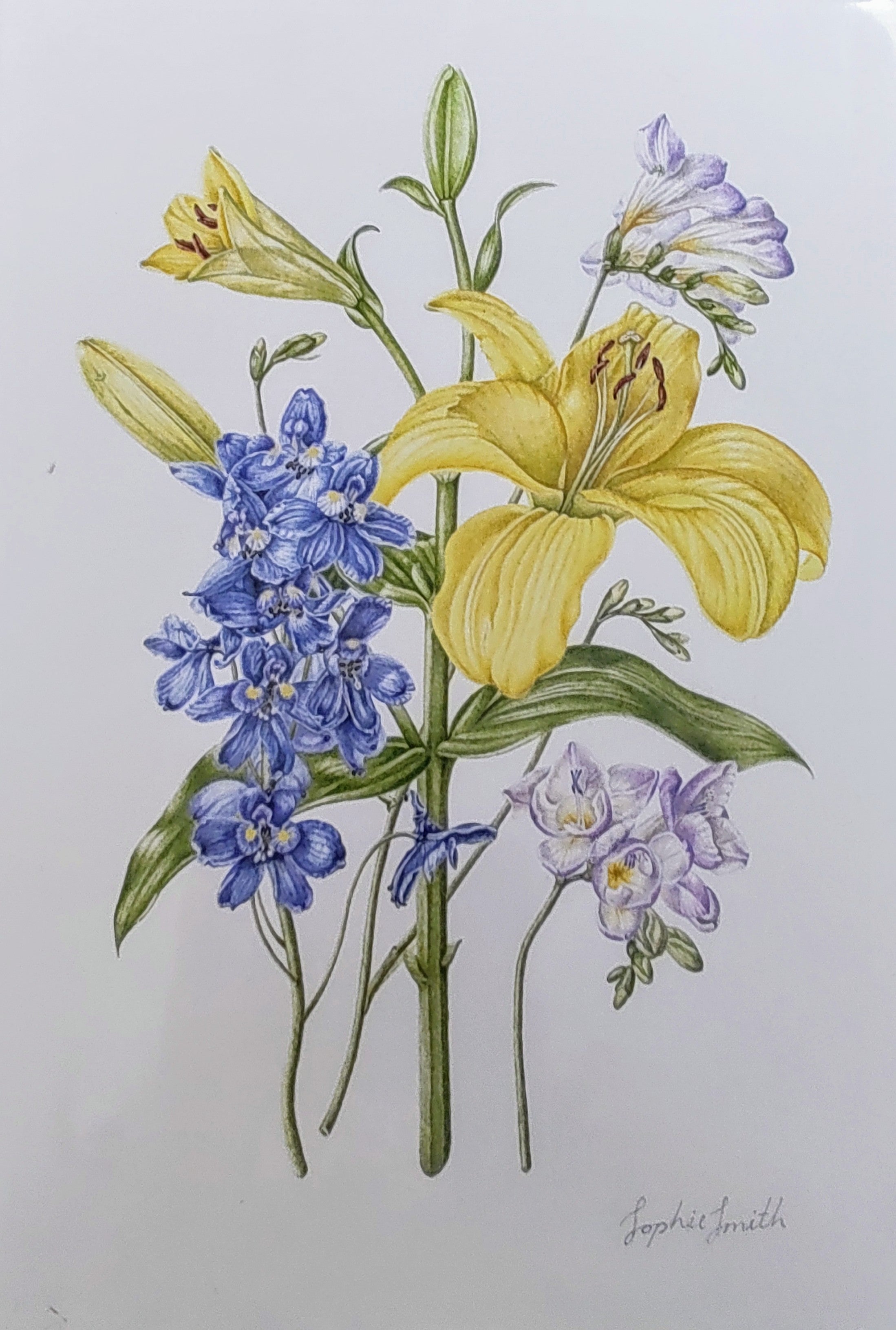 Sophie Smith- Posy, Giclee Print - Primrose Gallery and Framing 