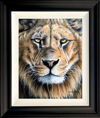 Sophie Bliss Kilpatrick - Golden Gaze