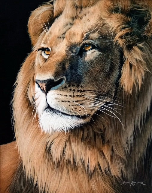 Sophie Bliss Kilpatrick - Proud Lion