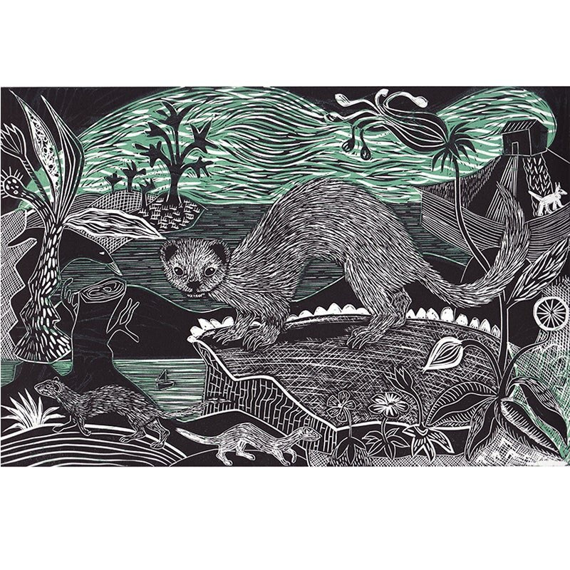 Sam Marshall- Weasel, Polecat and Stoat