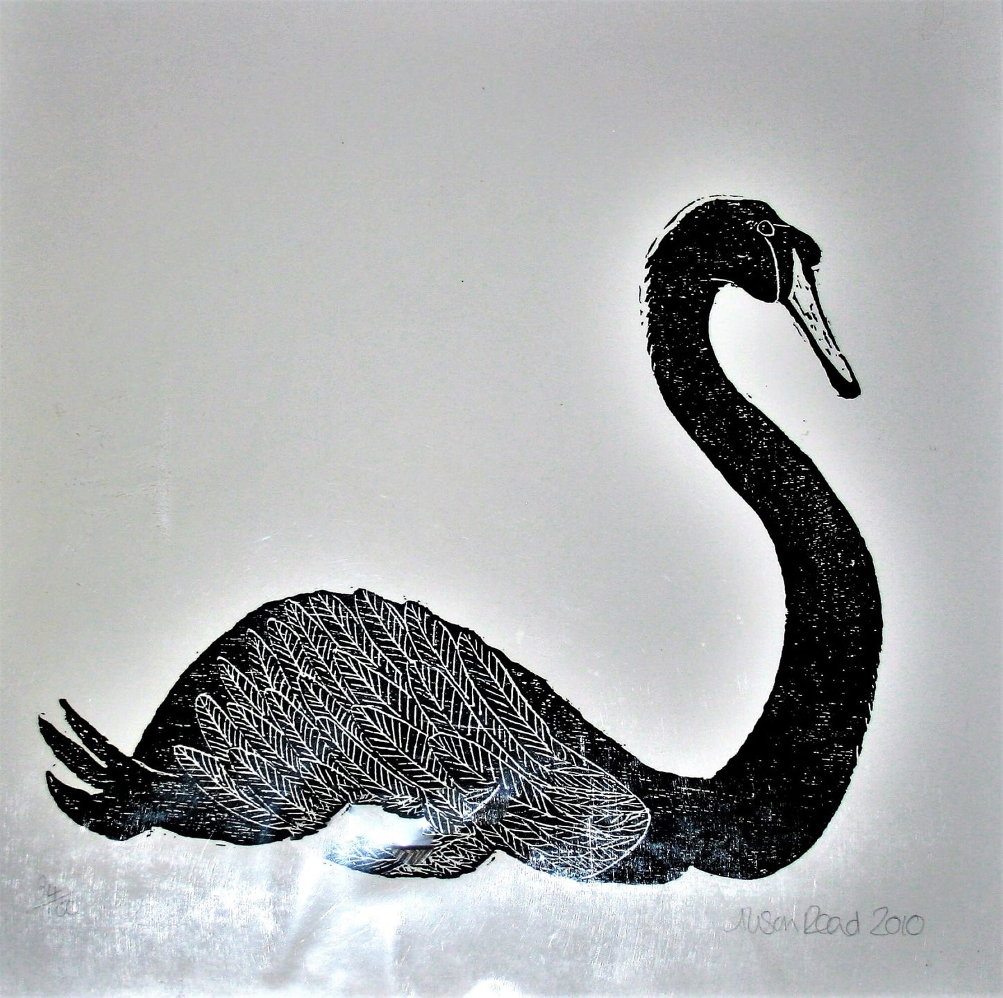Alison Read- Black Swan - Primrose Gallery