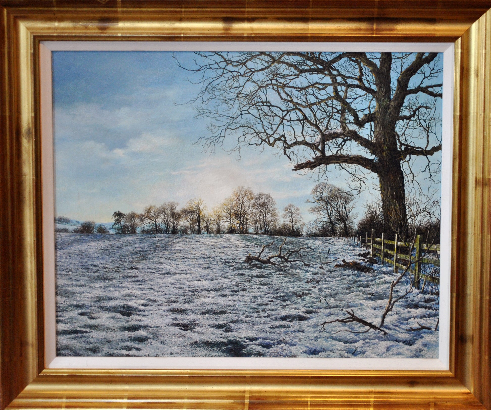 Martin Taylor-Light Over the Spinney - Primrose Gallery