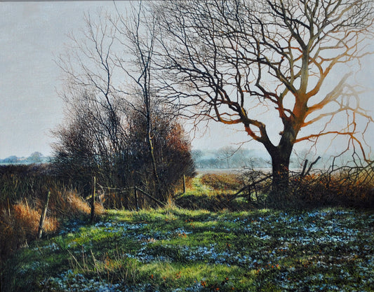 Martin Taylor-The Frosty Field - Primrose Gallery