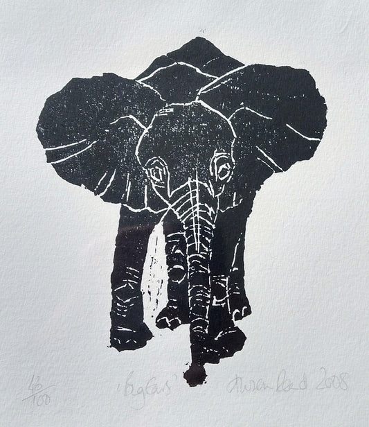 Alison Read -Lino artist- Woodcut Etching of Elephant- 'Big Ears'