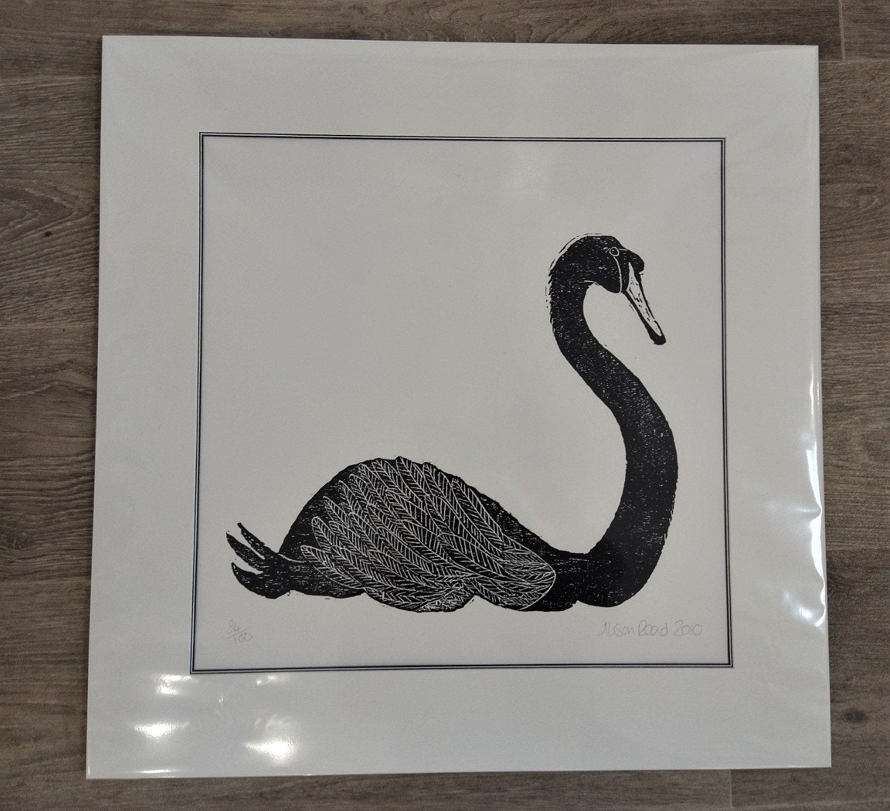 Alison Read- Black Swan - Primrose Gallery