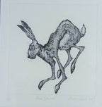 Alison Read - Original Limited edition Etching of a Hare-  'Hare Brained', Unframed Limited Edition Print - Primrose Gallery and Framing 