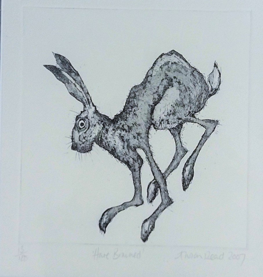 Alison Read - Original Limited edition Etching of a Hare-  'Hare Brained', Unframed Limited Edition Print - Primrose Gallery and Framing 