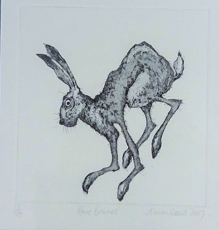 Alison Read - Original Limited edition Etching of a Hare-  'Hare Brained', Unframed Limited Edition Print