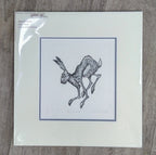 Alison Read - Original Limited edition Etching of a Hare-  'Hare Brained', Unframed Limited Edition Print - Primrose Gallery and Framing 