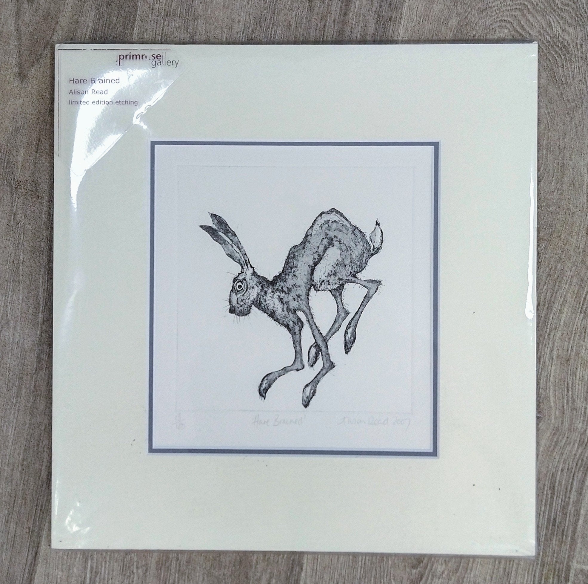 Alison Read - Original Limited edition Etching of a Hare-  'Hare Brained', Unframed Limited Edition Print - Primrose Gallery and Framing 