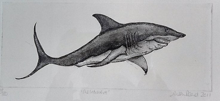 Alison Read - Original etching of a lone shark - "The Introvert"