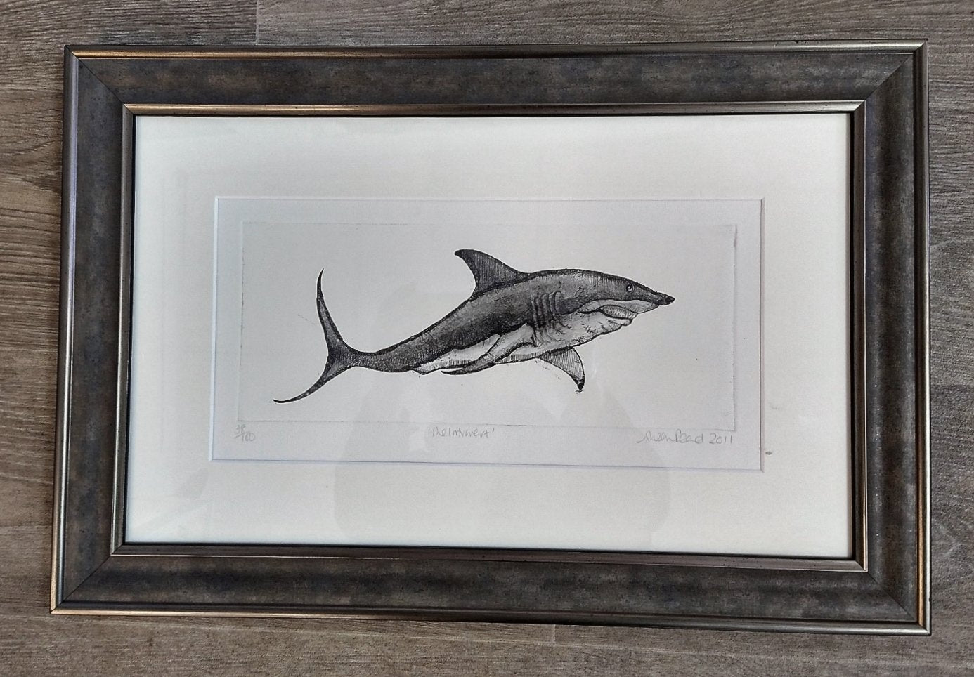 Alison Read - Original etching of a lone shark - "The Introvert"
