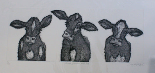 Alison Read -Limited edition Etching of 3 dairy cows,  "Naomi, Claudia and Kate"