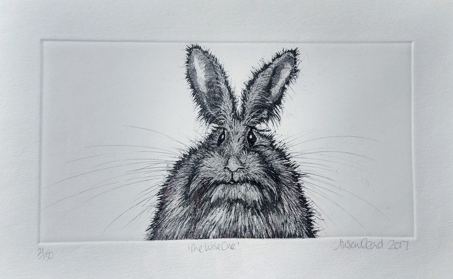 Alison Read - Etching- Rabbit art- "The Wise One"