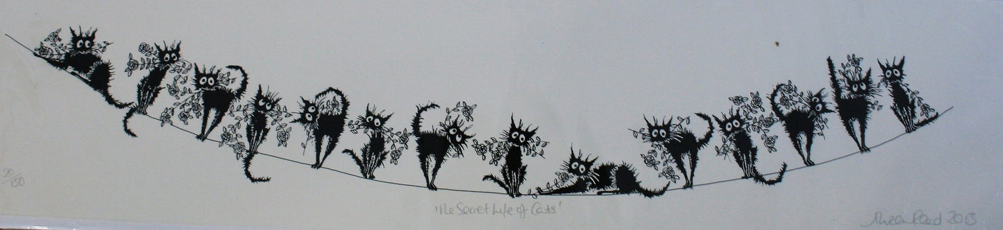 Alison Read -Lino artist- Silly cats standing on a line-"The Secret Life of Cats"