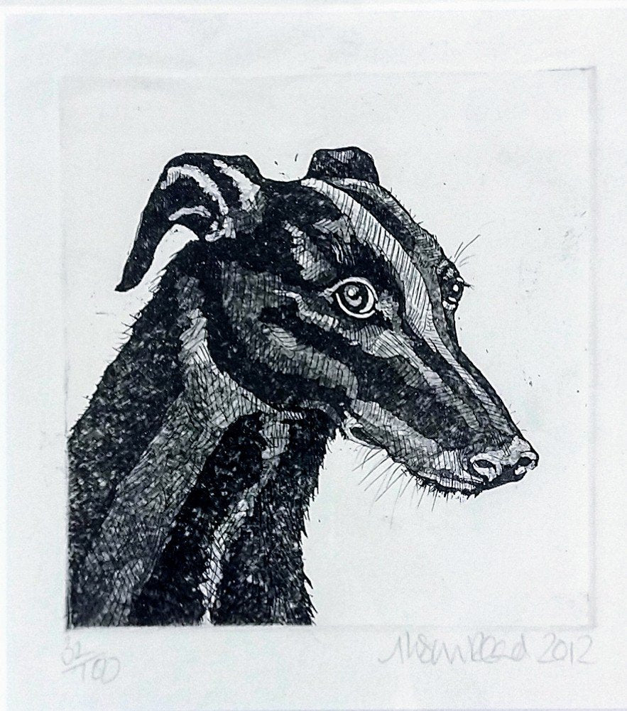 Alison Read -Unnamed Greyhound, Original Limited Edition Etching, Unframed Limited Edition Print - Primrose Gallery and Framing 