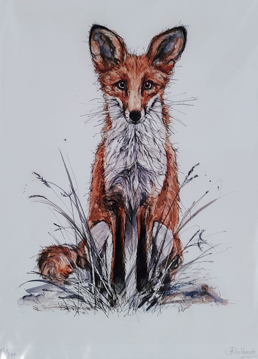 Anne Gilbert - Bluebell Fox Limited Edition Print