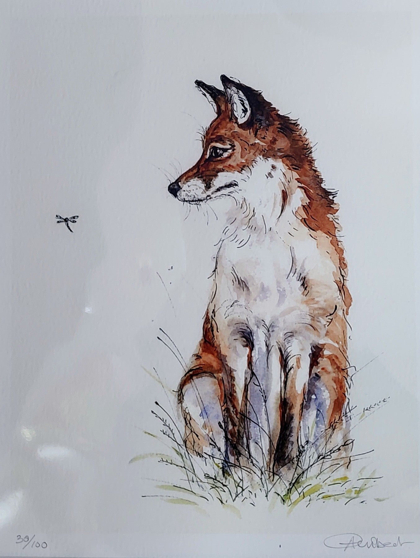 Anne Gilbert- Fox and Fly, Limited Edition Print - Primrose Gallery and Framing 