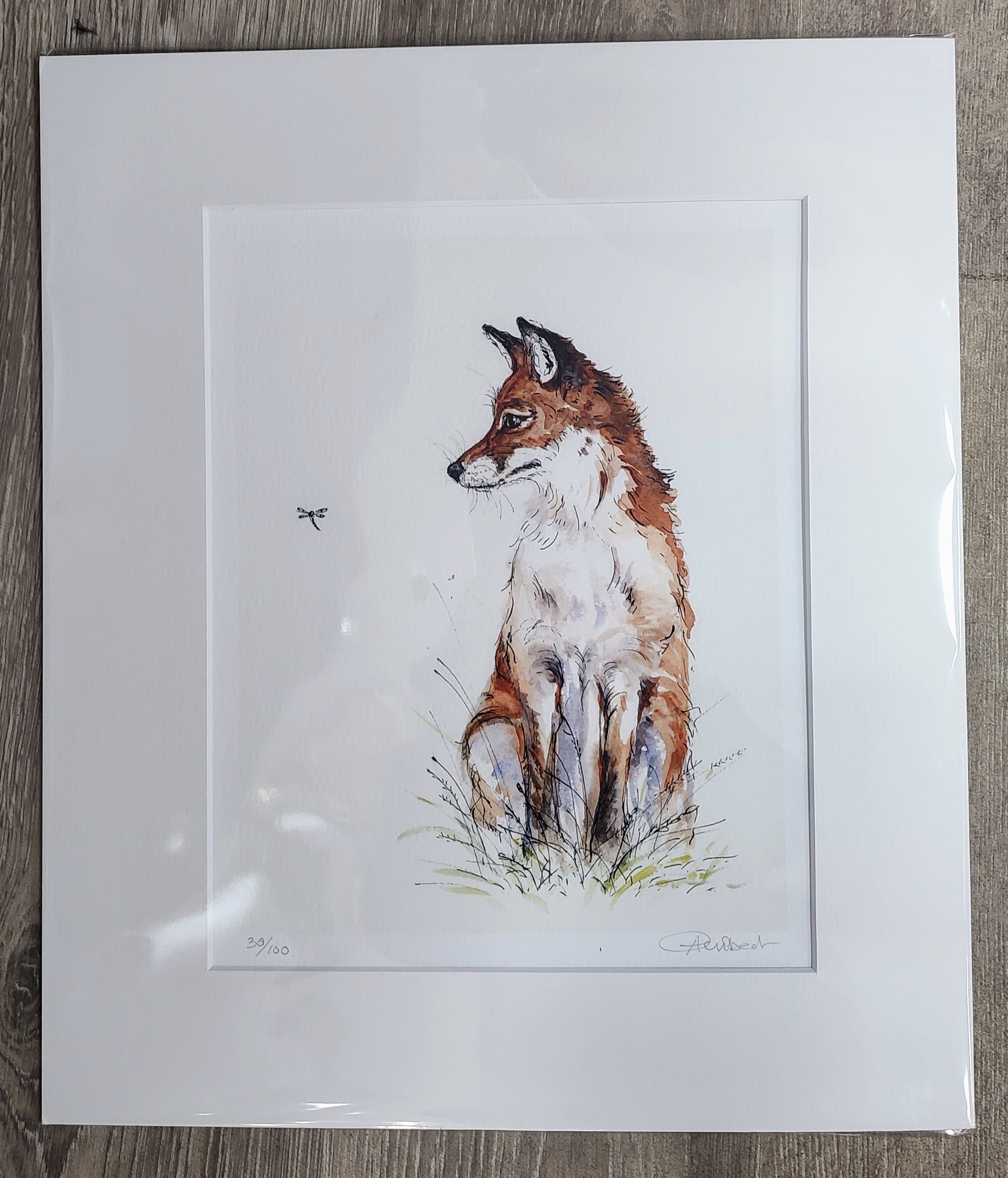 Anne Gilbert- Fox and Fly, Limited Edition Print - Primrose Gallery and Framing 