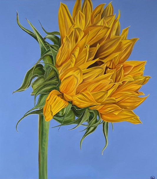 Debbie Waterworth- Sunflower