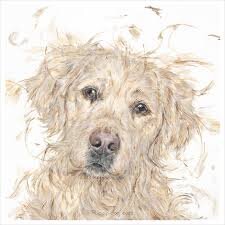 Aaminah Snowdon- Puppy Dog Eyes,  Framed Limited Edition Print of a Golden Labrador Dog