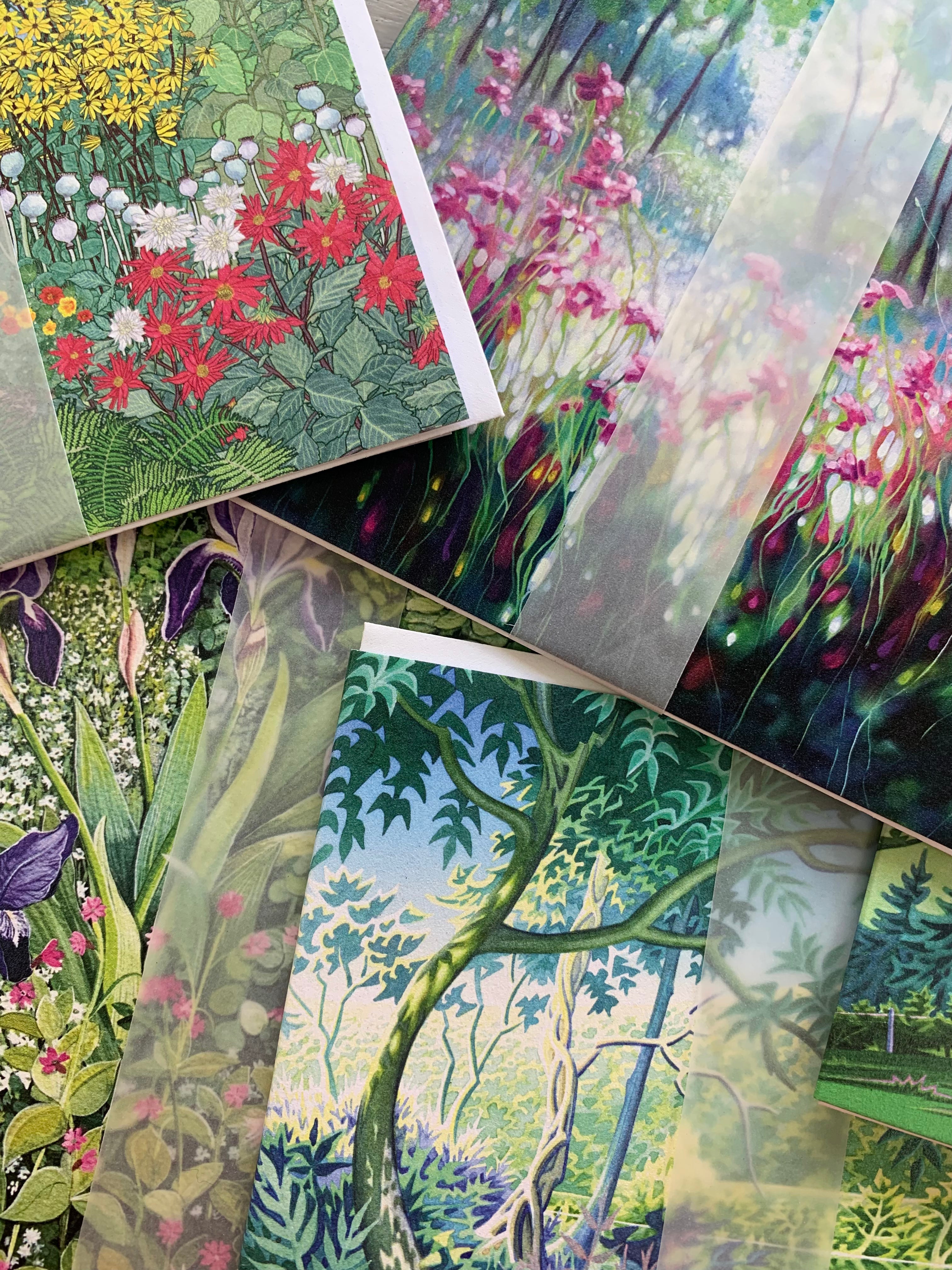 The Primrose gift card - Primrose Gallery and Framing 