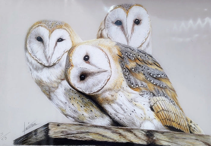 Keiran Hodge- Curious, Limited Edition mounted Print