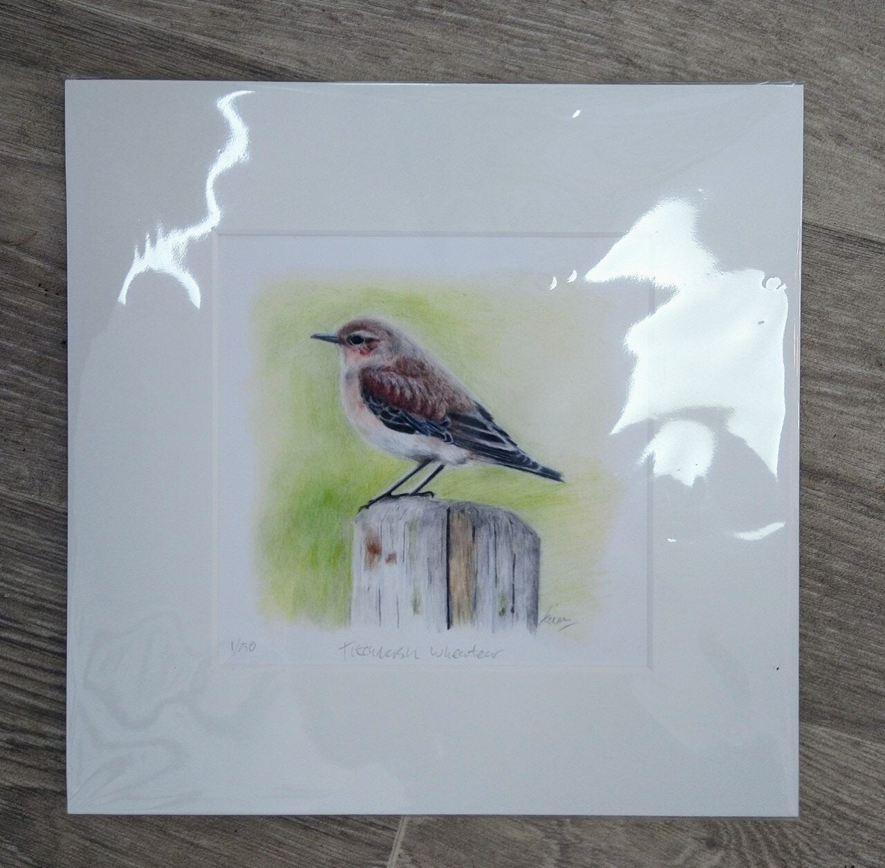 Keiran Hodge- Titchmarsh Wheatear, Limited Edition Mounted Print - Primrose Gallery and Framing 