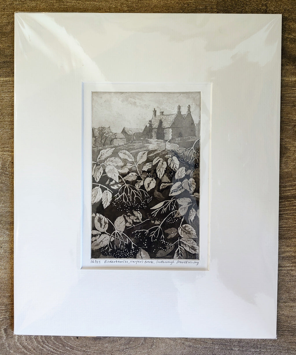 Sorrell Kinley- Elderberries, Harpers Brook, Sudborough - Primrose Gallery and Framing 