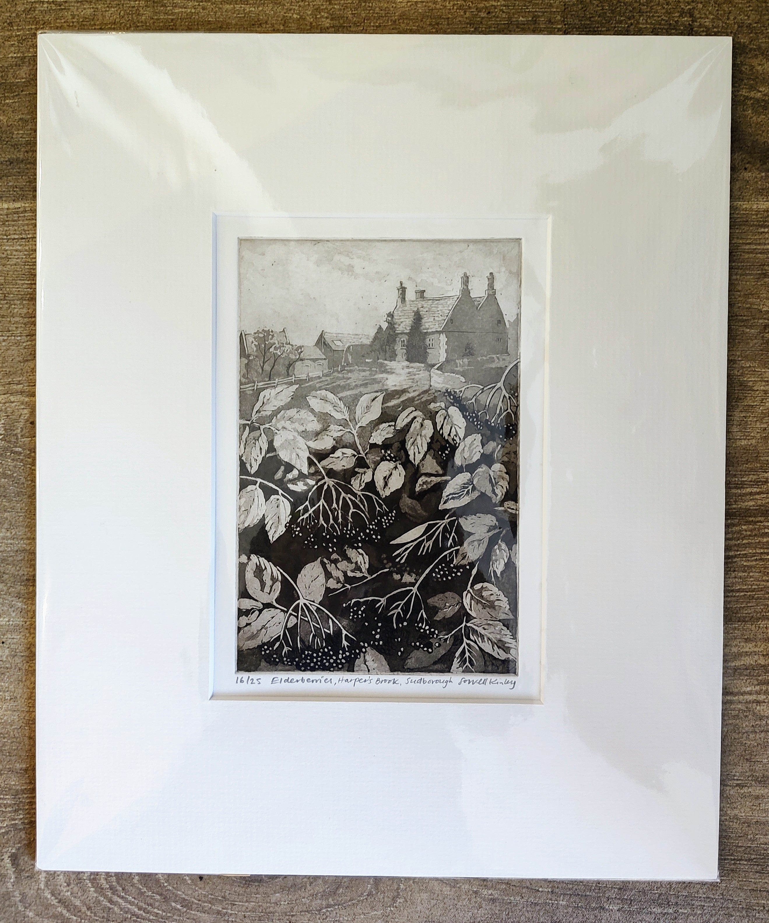 Sorrell Kinley- Elderberries, Harpers Brook, Sudborough - Primrose Gallery and Framing 